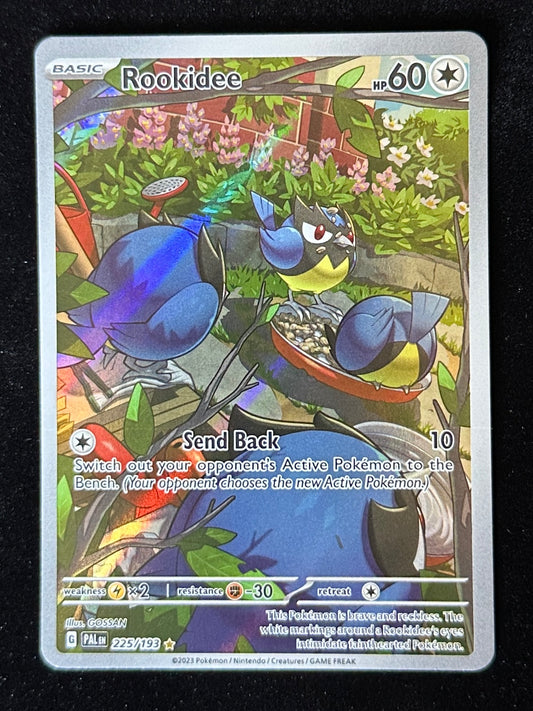Rookidee - Paldea Evolved - 225/193
