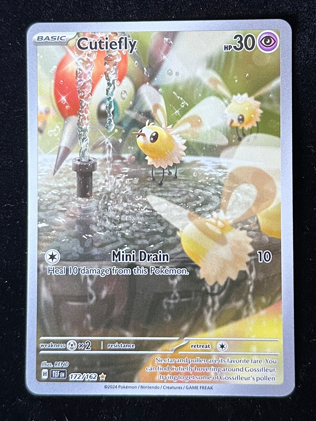 Cutiefly - Temporal Forces - 172/162