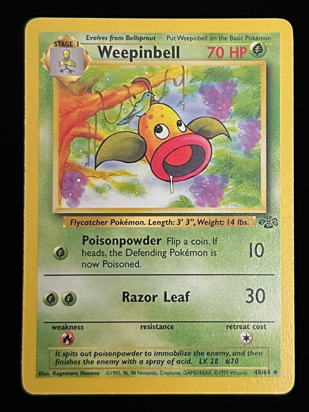 Weepinbell - Jungle Unlimited - 48/64
